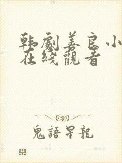 韩剧善良小 子在线观看