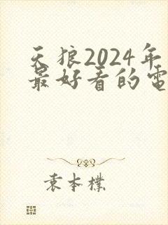 天狼2024年最好看的电视剧