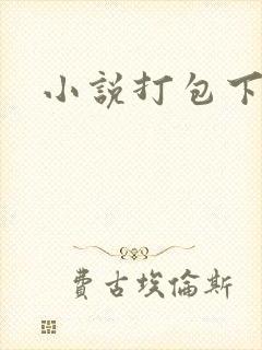 小说打包下载封面