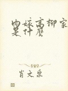 肉嫁高柳家讲的是什么