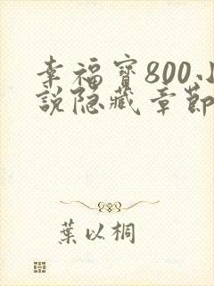 幸福宝800小说隐藏章节