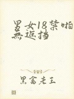 男女18禁啪啪无遮挡封面