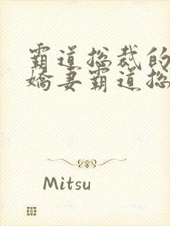 霸道总裁的独宠娇妻霸道总裁