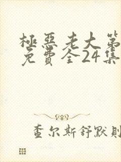 极恶老大第3季免费全24集