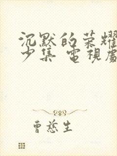 沉默的荣耀共多少集 电视剧免费观看