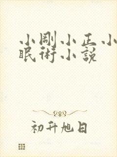 小刚小正小柔催眠术小说