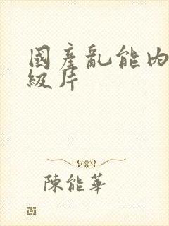 国产乱能内射一级片