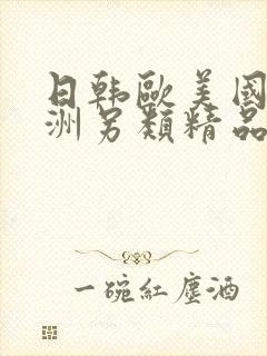 日韩欧美国产亚洲另类精品酒店