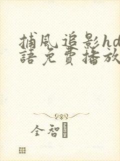 捕风追影hd国语免费播放