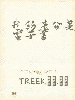 我的老公是只狗电子书