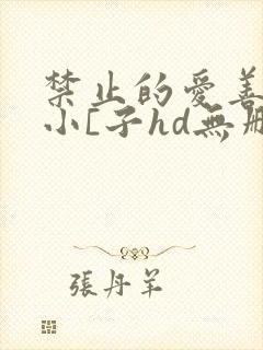 禁止的爱善良的小[子hd无删减播放韩
