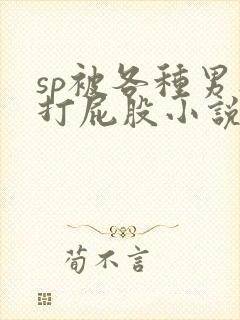 sp被各种男人打屁股小说