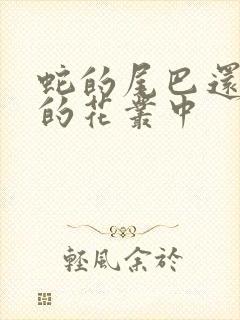 蛇的尾巴还在我的花丛中