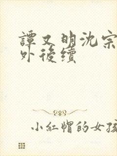 谭又明沈宗年番外后续