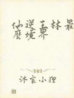 仙逆王林最后什么境界