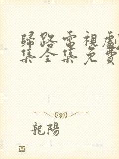 归路电视剧30集全集免费观看