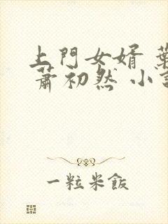 上门女婿 叶辰 萧初然 小说