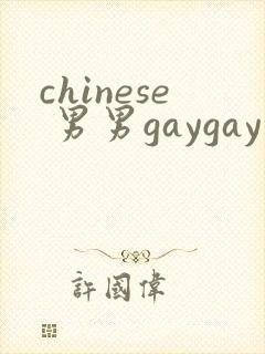 chinese 男男gaygay 网站