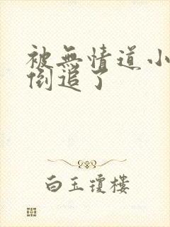 被无情道小师弟倒追了封面