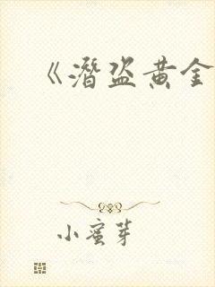 《潜盗黄金城》