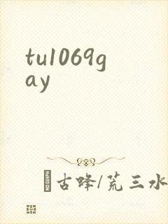 tu1069gay
