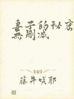 妻子的秘密动漫无删减