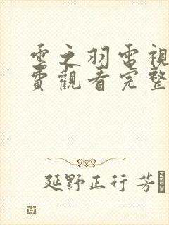 云之羽电视剧免费观看完整版在线封面