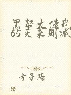 黑帮大佬我的365天未删减版