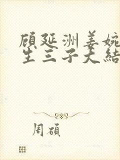 顾延洲姜婉未婚生三子大结局