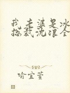 我老婆是冰山女总裁沈浪全集封面