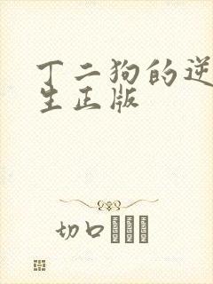 丁二狗的逆袭人生正版