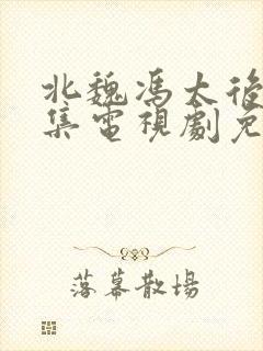 北魏冯太后42集电视剧免费观看