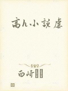 高h小说虐