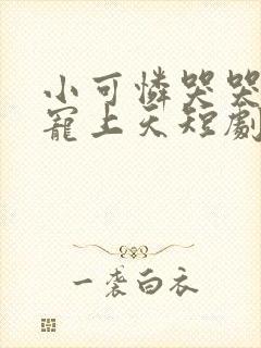 小可怜哭哭顾总宠上天短剧