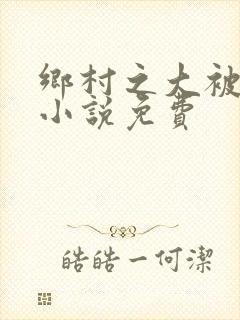 乡村之大被同眠小说免费