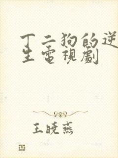 丁二狗的逆袭人生电视剧