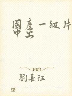 国产一级片内射中出