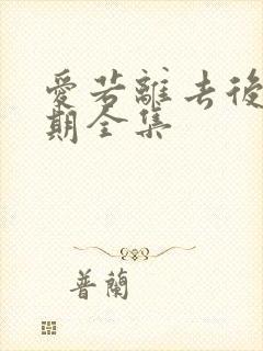 爱若离去后会无期全集