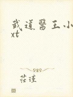 武道医王小妖txt封面