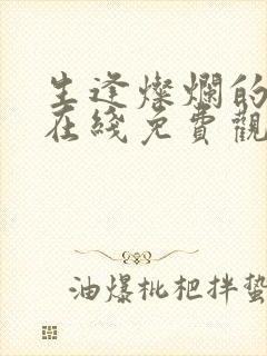 生逢灿烂的日子在线免费观看全集