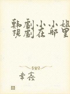 韩剧小小姐们电视剧在哪里看免费