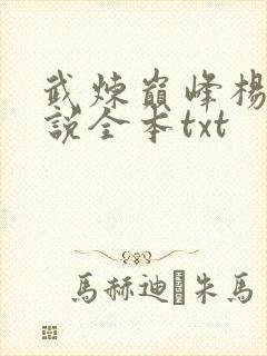 武炼巅峰杨开小说全本txt