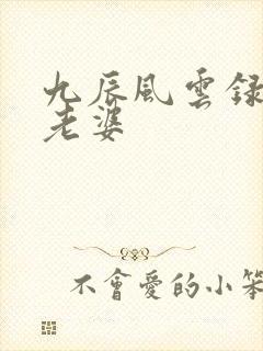 九辰风云录男主老婆封面