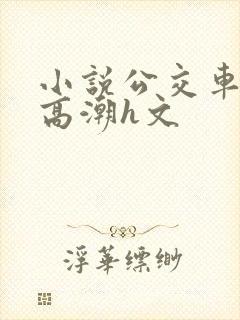 小说公交车被上高潮h文