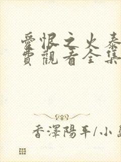 爱恨之火泰剧免费观看全集