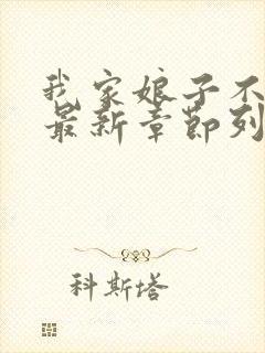 我家娘子不对劲最新章节列表