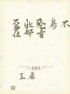 至此飞鸟不相逢在哪看