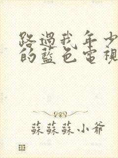 路过我年少时光的蓝色电视剧封面