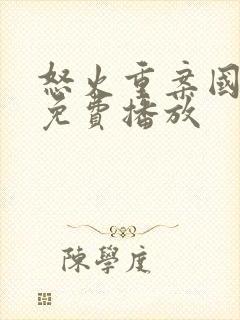 怒火重案国语版免费播放