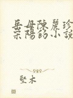 岳母陈丽珍女婿宋阳的小说免费封面